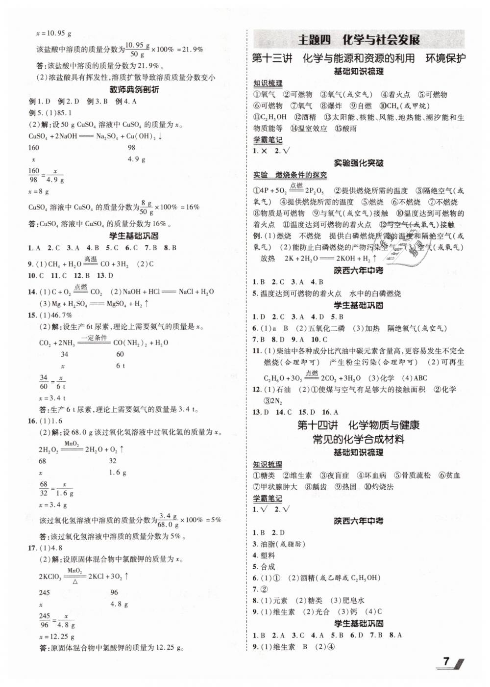 2019年陕西中考加速度九年级化学 第7页