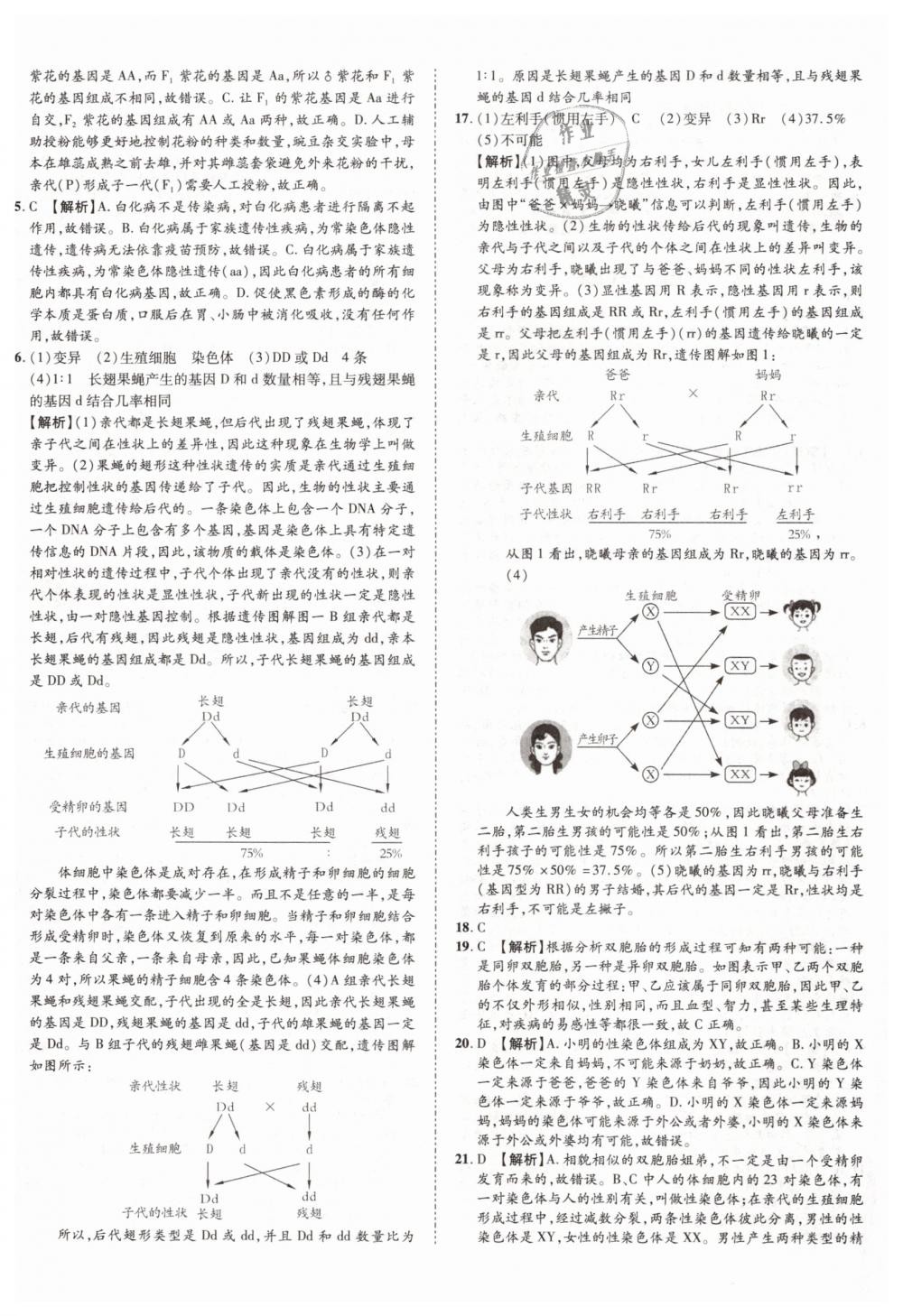 2019年中考加速度九年级生物 第40页