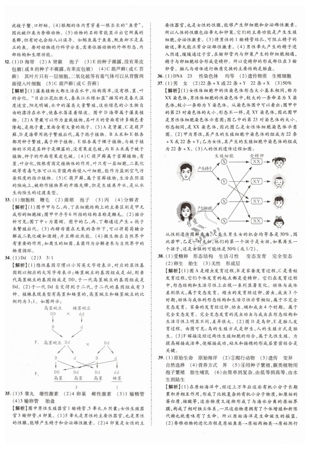 2019年中考加速度九年级生物 第20页