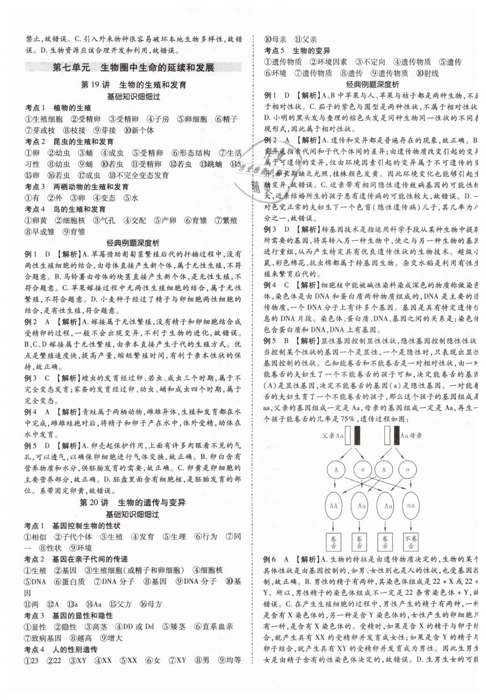 2019年中考加速度九年级生物 第13页