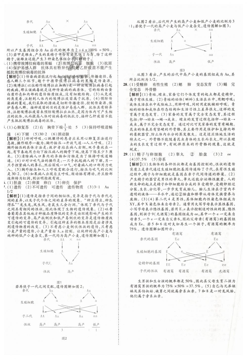 2019年中考加速度九年级生物 第48页