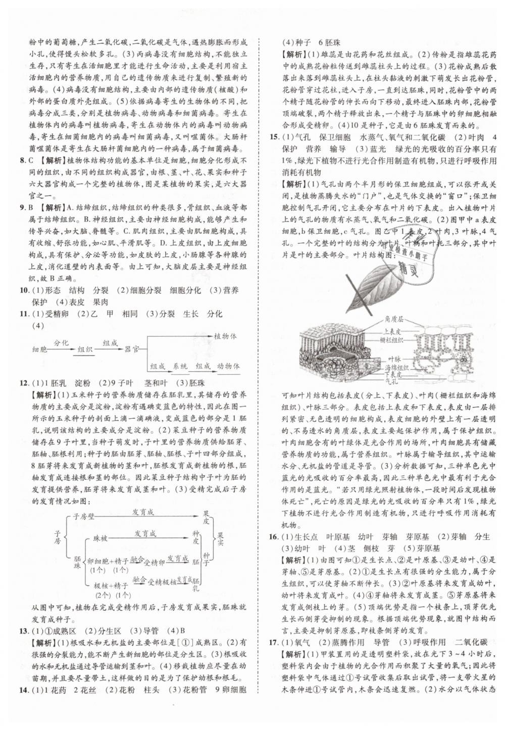 2019年中考加速度九年级生物 第17页