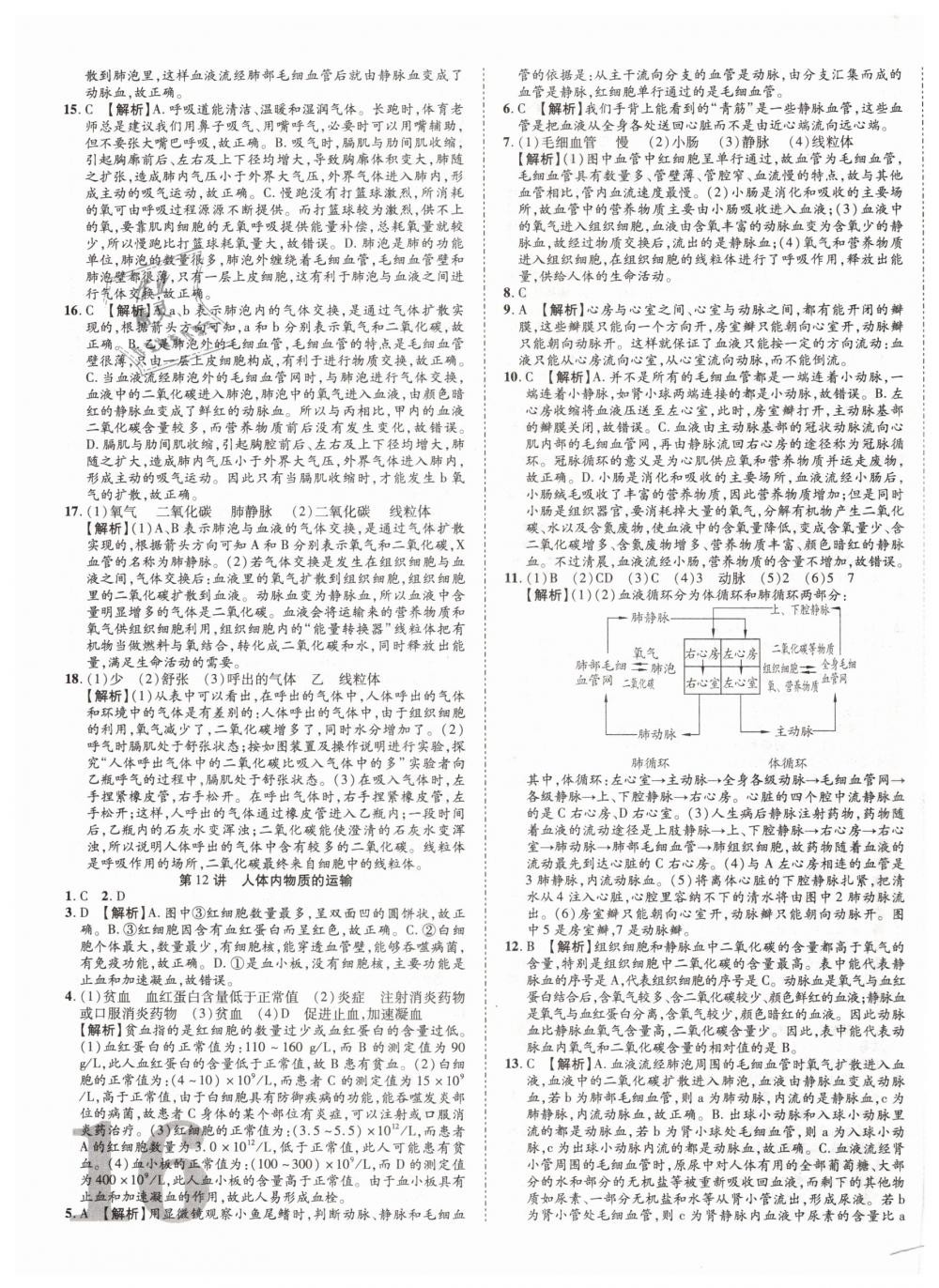 2019年中考加速度九年级生物 第31页