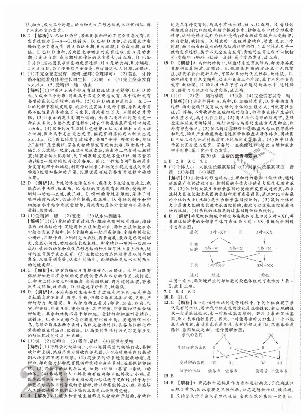 2019年中考加速度九年級(jí)生物 第39頁