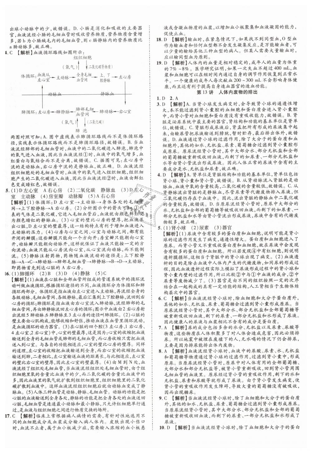 2019年中考加速度九年级生物 第32页