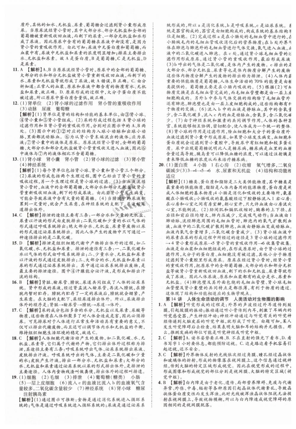 2019年中考加速度九年级生物 第33页