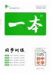 2019年一本九年級(jí)初中化學(xué)下冊(cè)人教版