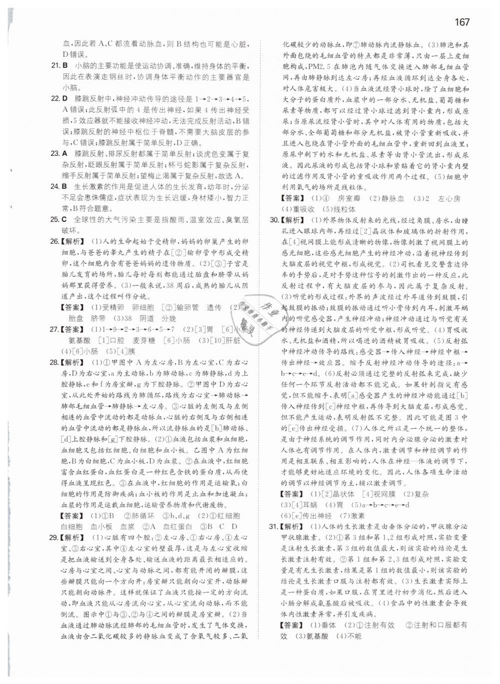 2019年一本七年級生物下冊人教版 第31頁