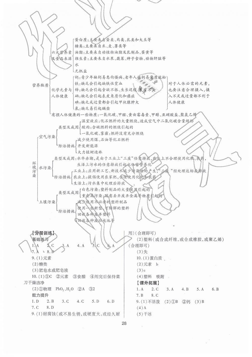 2019年山西省中考指導(dǎo)化學(xué) 第28頁