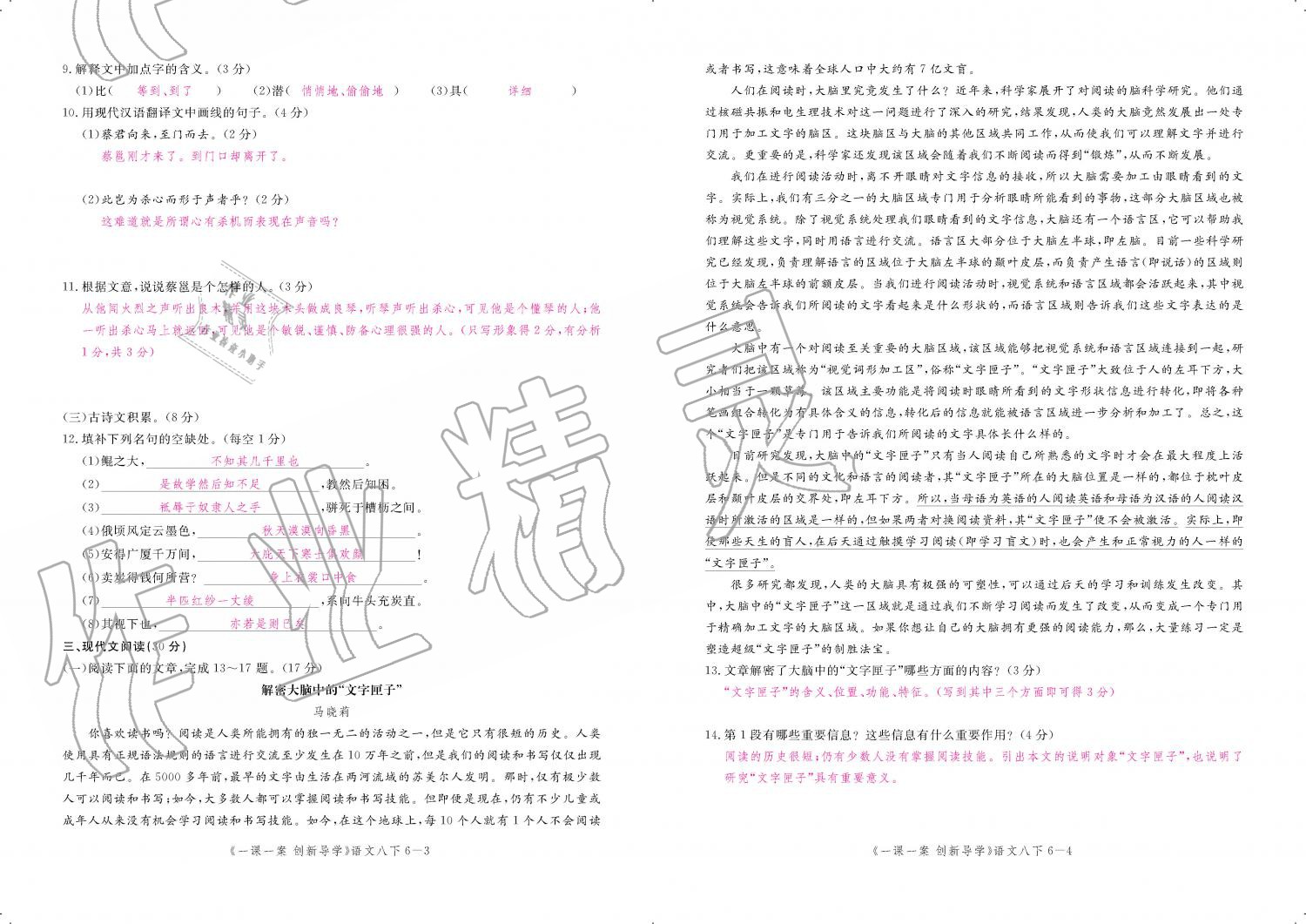 2019年一课一案创新导学八年级语文下册人教版 第196页