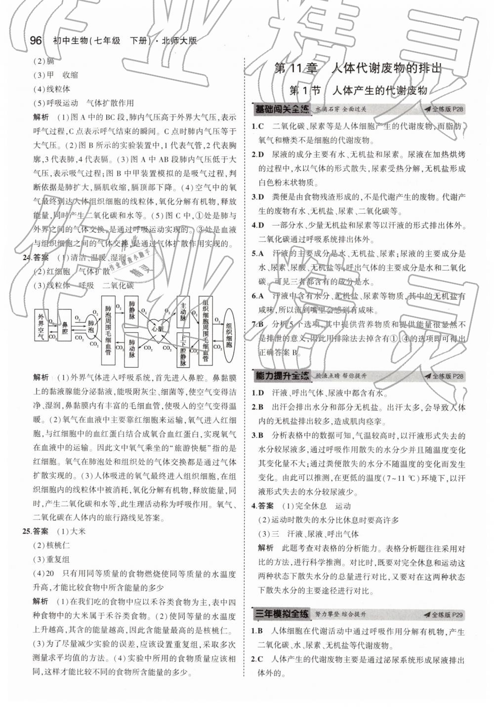 2019年5年中考3年模拟初中生物七年级下册北师大版 第12页