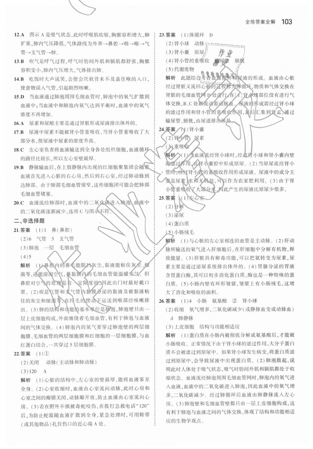 2019年5年中考3年模拟初中生物七年级下册北师大版 第19页