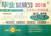 2019年畢業(yè)總復習小升初入學測試卷數(shù)學