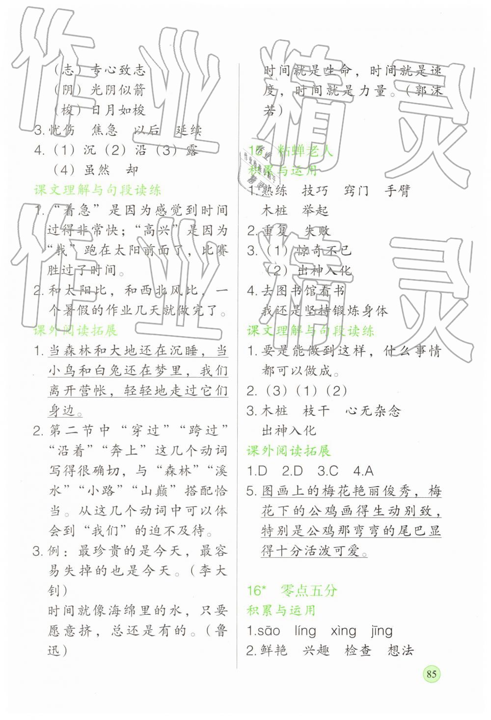 2019年新課標(biāo)兩導(dǎo)兩練高效學(xué)案三年級語文下冊語文版 第9頁