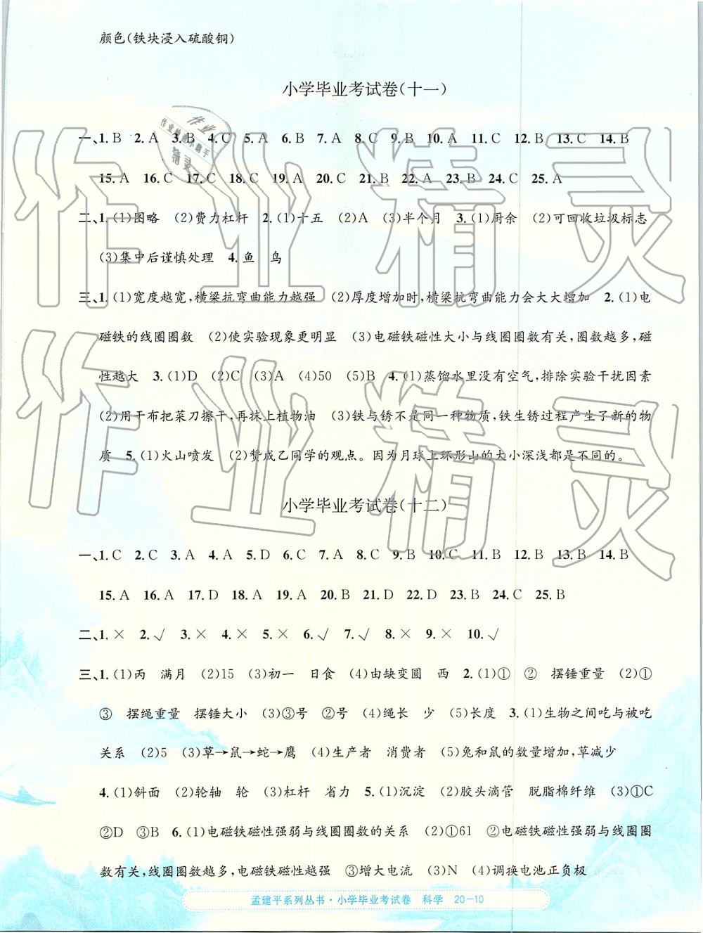 2019年孟建平小學(xué)科學(xué)畢業(yè)考試卷 第10頁(yè)