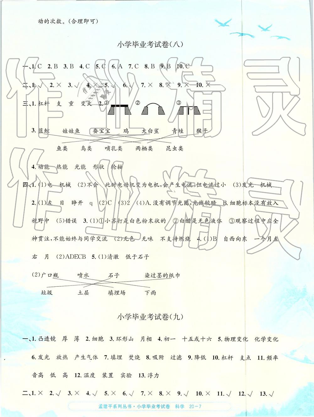 2019年孟建平小學(xué)科學(xué)畢業(yè)考試卷 第7頁