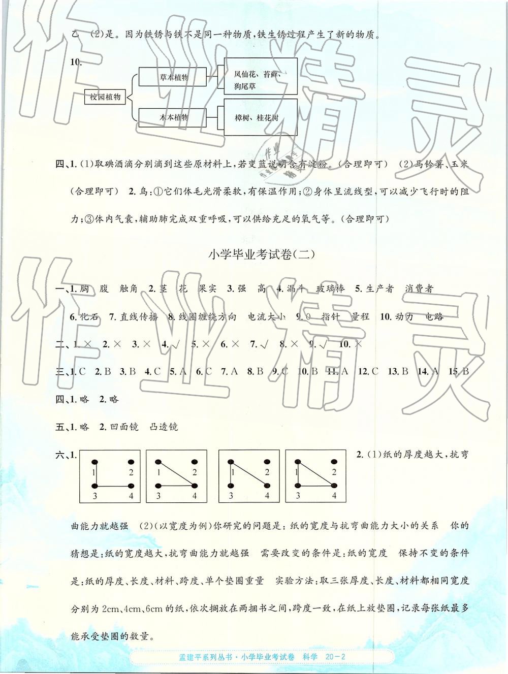 2019年孟建平小學(xué)科學(xué)畢業(yè)考試卷 第2頁(yè)