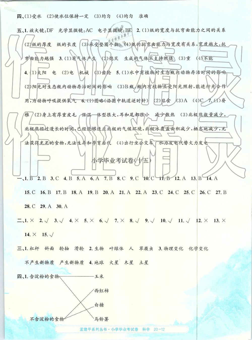 2019年孟建平小學(xué)科學(xué)畢業(yè)考試卷 第12頁