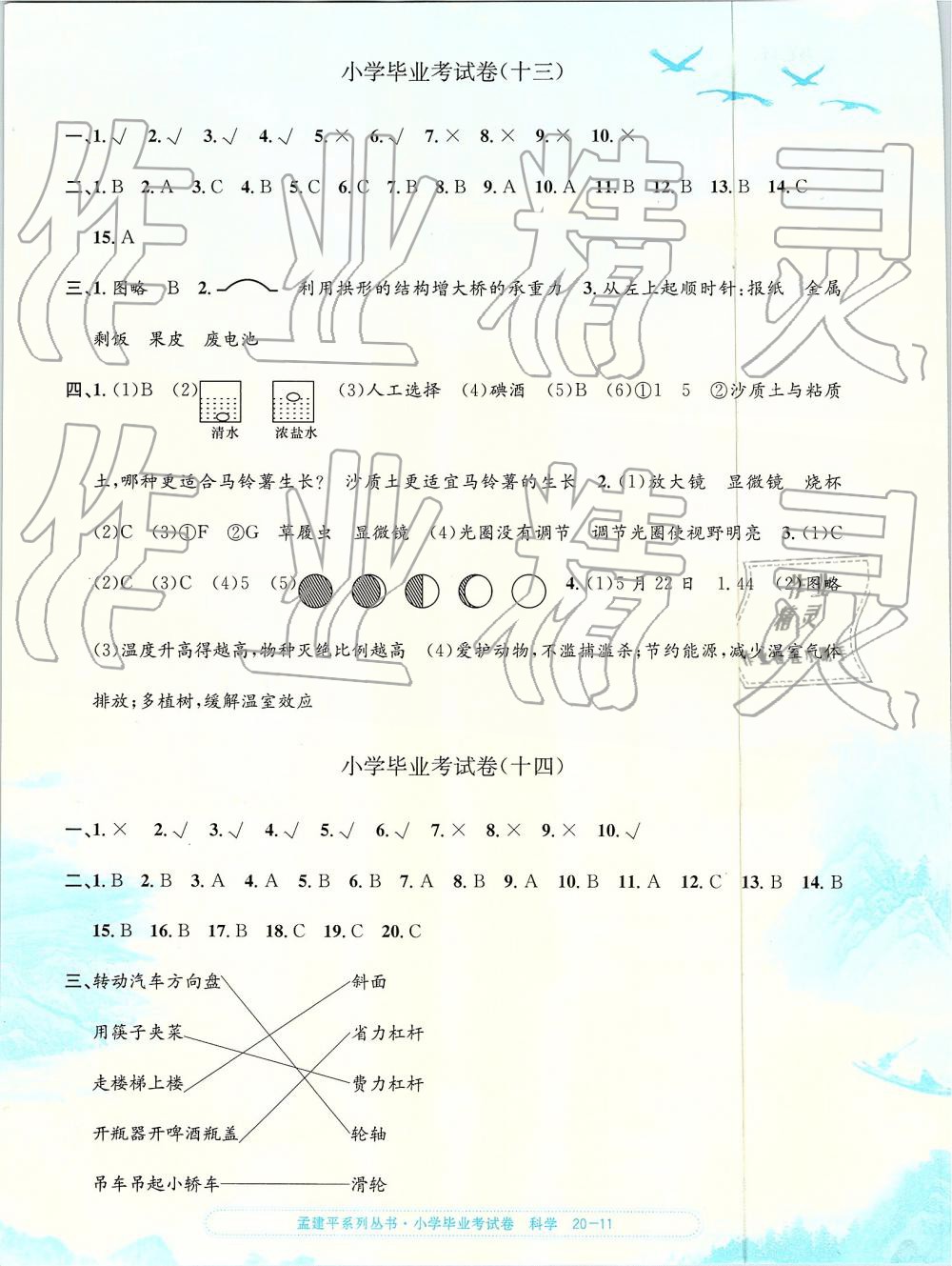 2019年孟建平小學科學畢業(yè)考試卷 第11頁