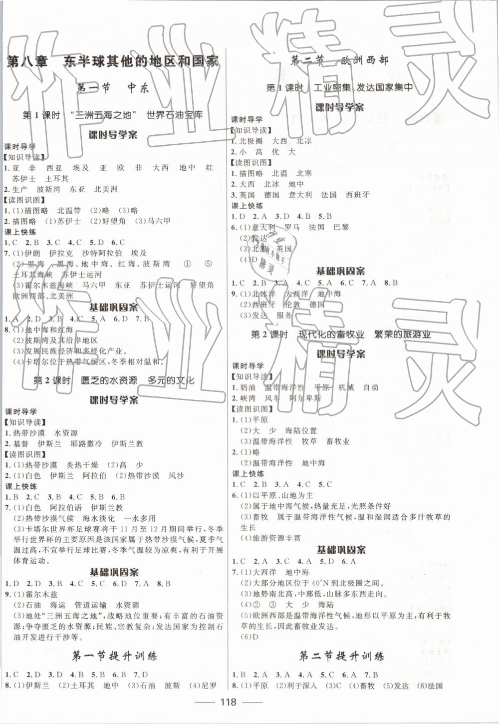 2019年奪冠百分百新導(dǎo)學(xué)課時練七年級地理下冊課標(biāo)版 第4頁