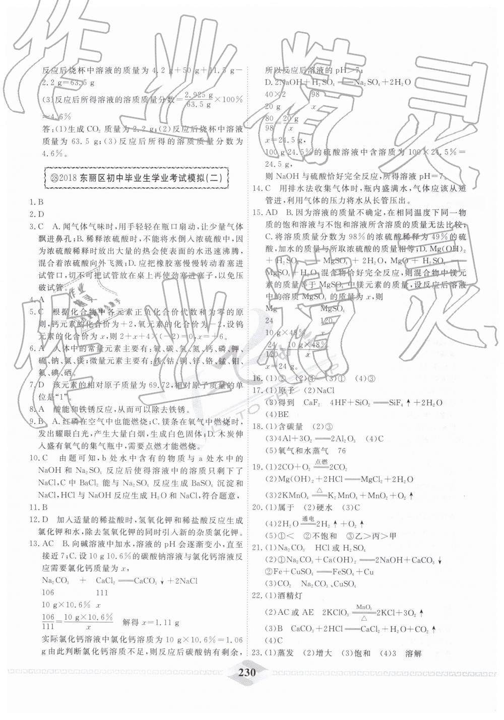 2019年一飞冲天中考模拟试题汇编化学 第38页