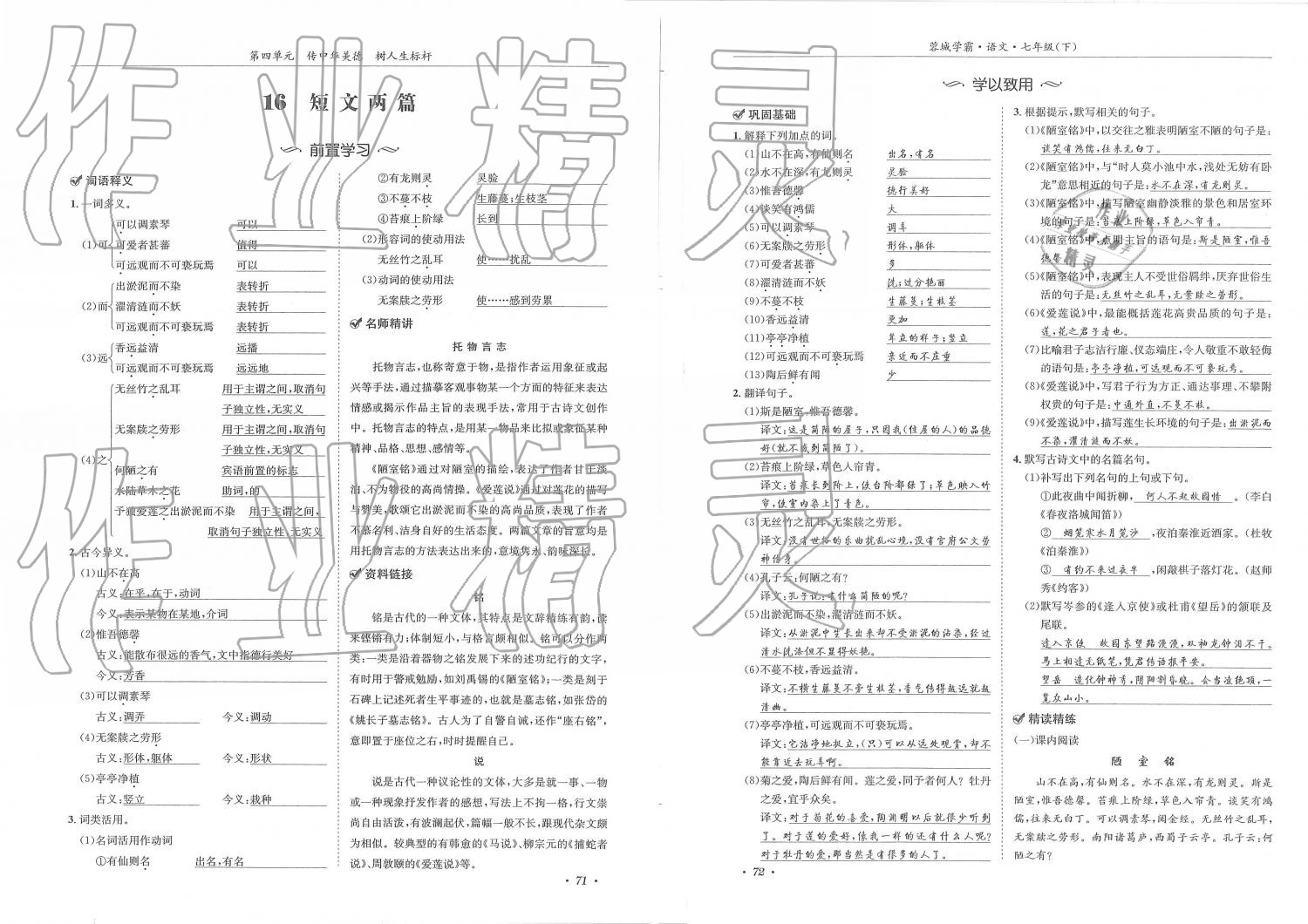 2019年蓉城學(xué)霸七年級(jí)語(yǔ)文下冊(cè)人教版 第36頁(yè)