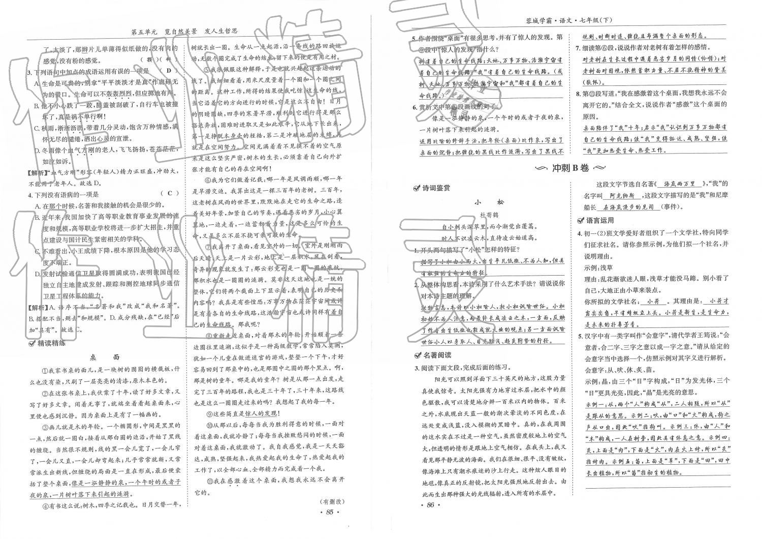 2019年蓉城学霸七年级语文下册人教版 第43页