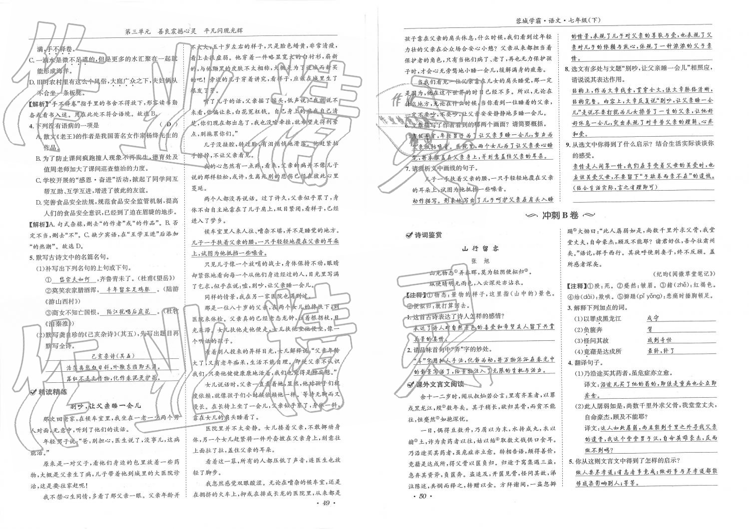 2019年蓉城学霸七年级语文下册人教版 第25页