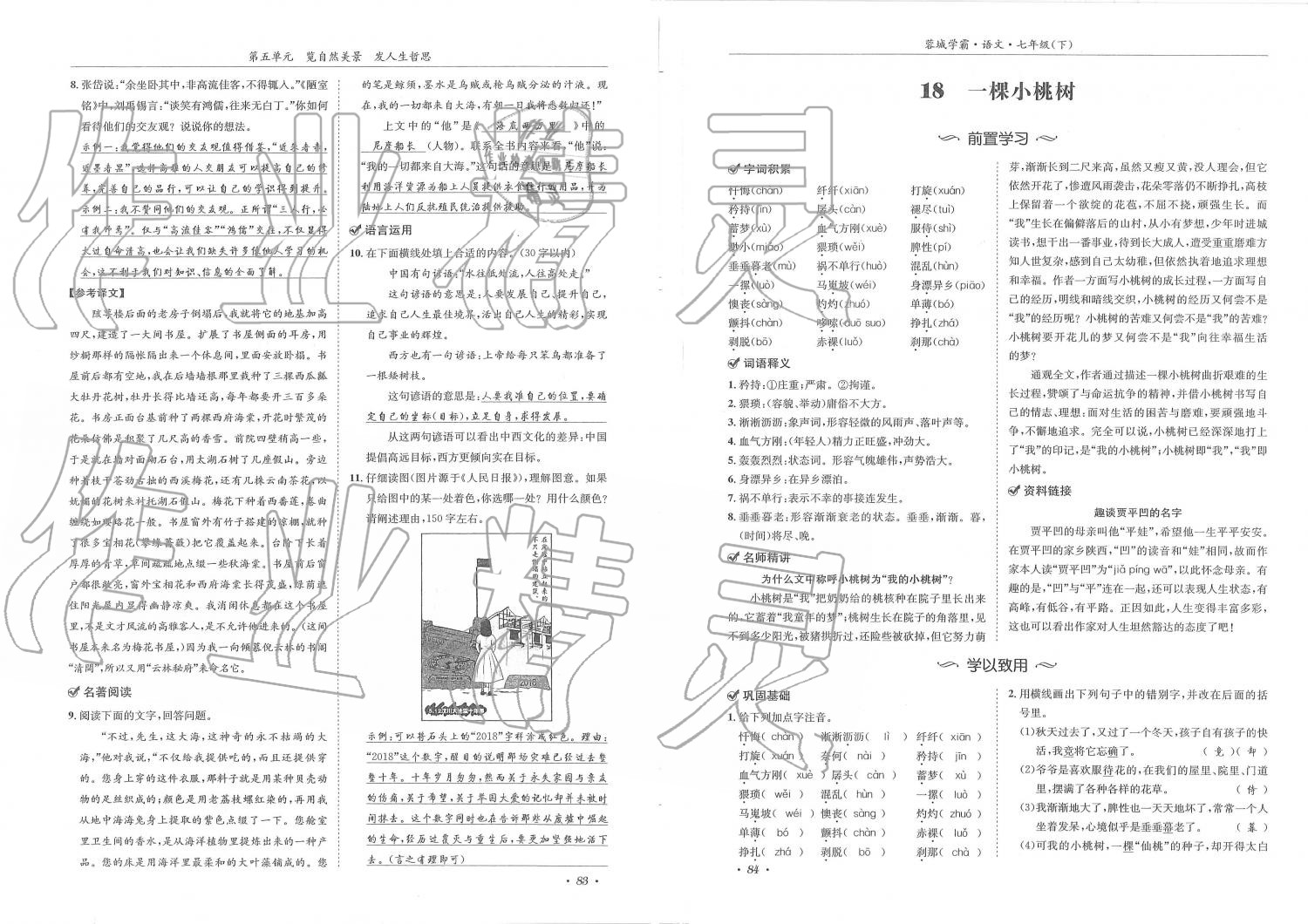 2019年蓉城学霸七年级语文下册人教版 第42页