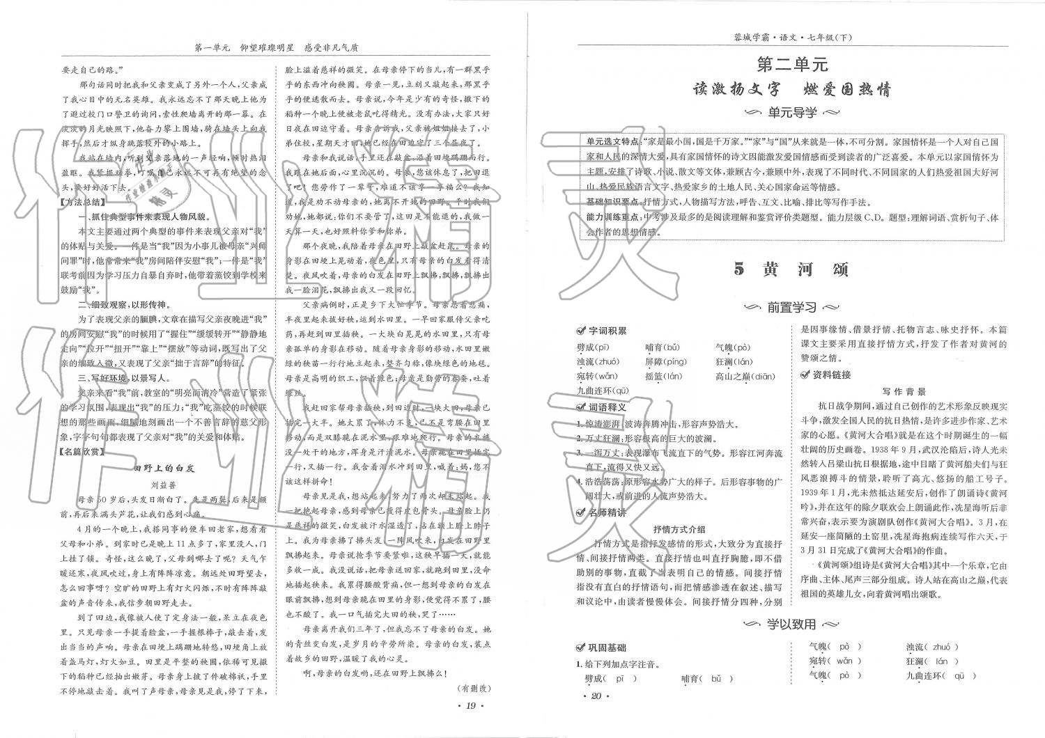 2019年蓉城學(xué)霸七年級(jí)語文下冊(cè)人教版 第10頁