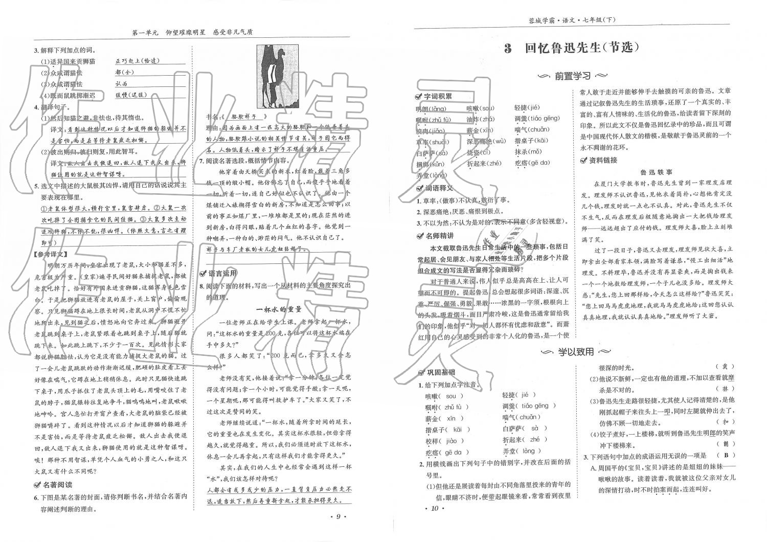 2019年蓉城學(xué)霸七年級語文下冊人教版 第5頁