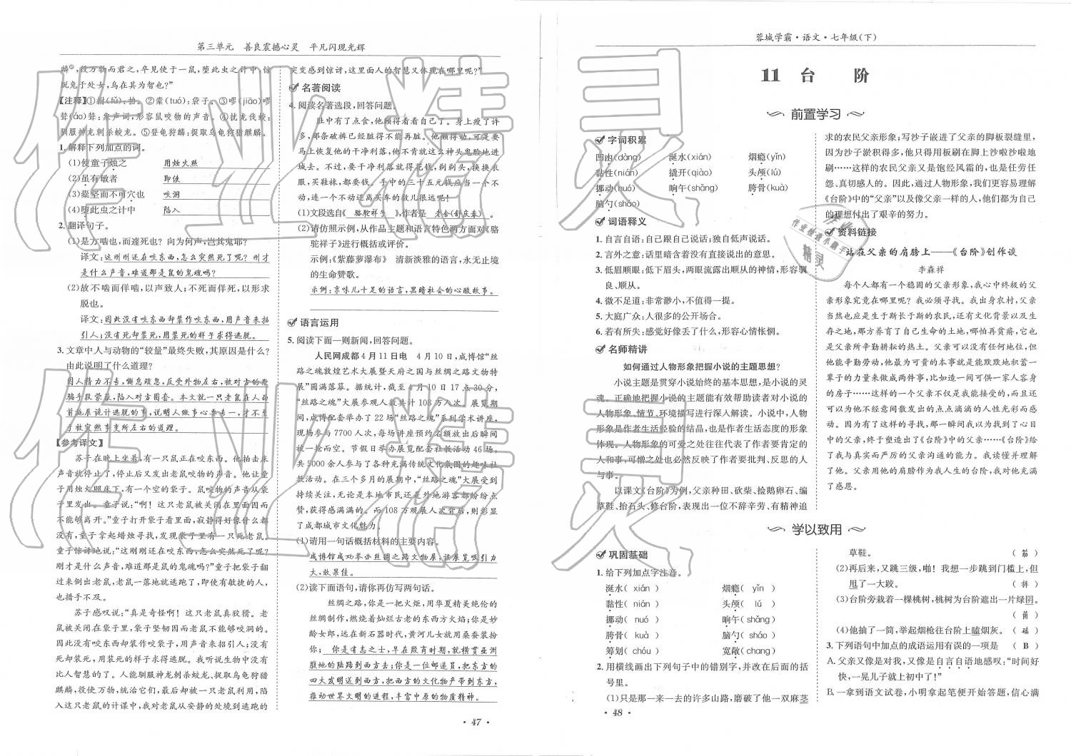 2019年蓉城学霸七年级语文下册人教版 第24页