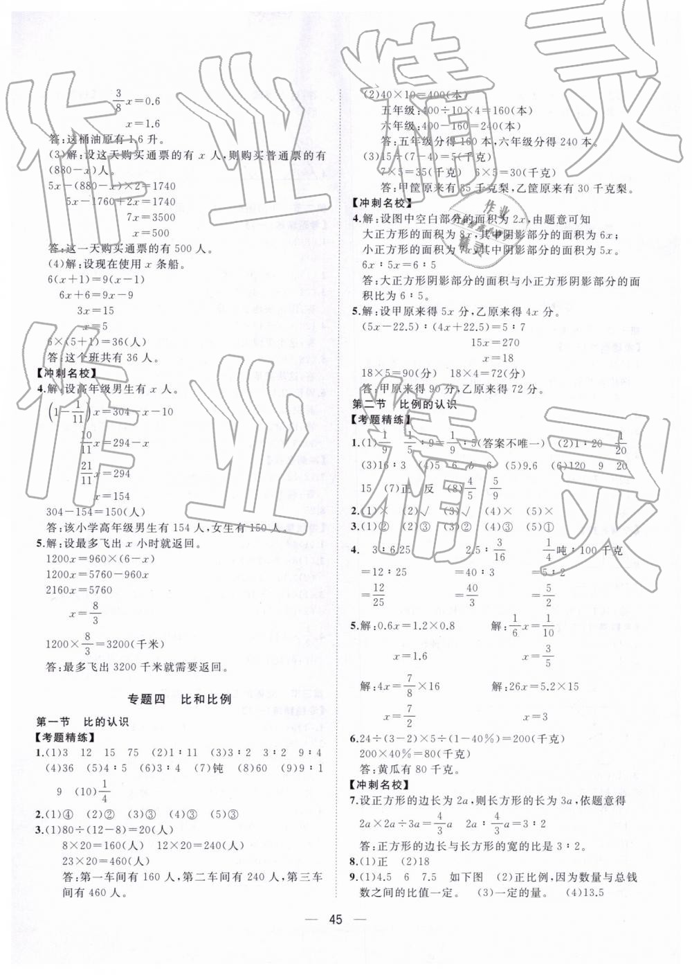 2019年课课优小升初总复习指导与训练数学 第5页