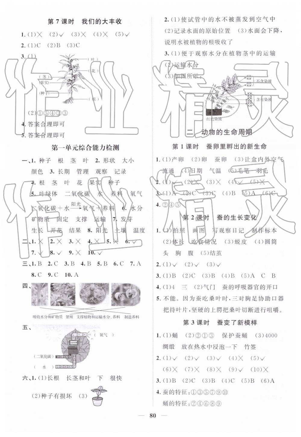 2019年阳光同学课时优化作业三年级科学下册教科版 第2页