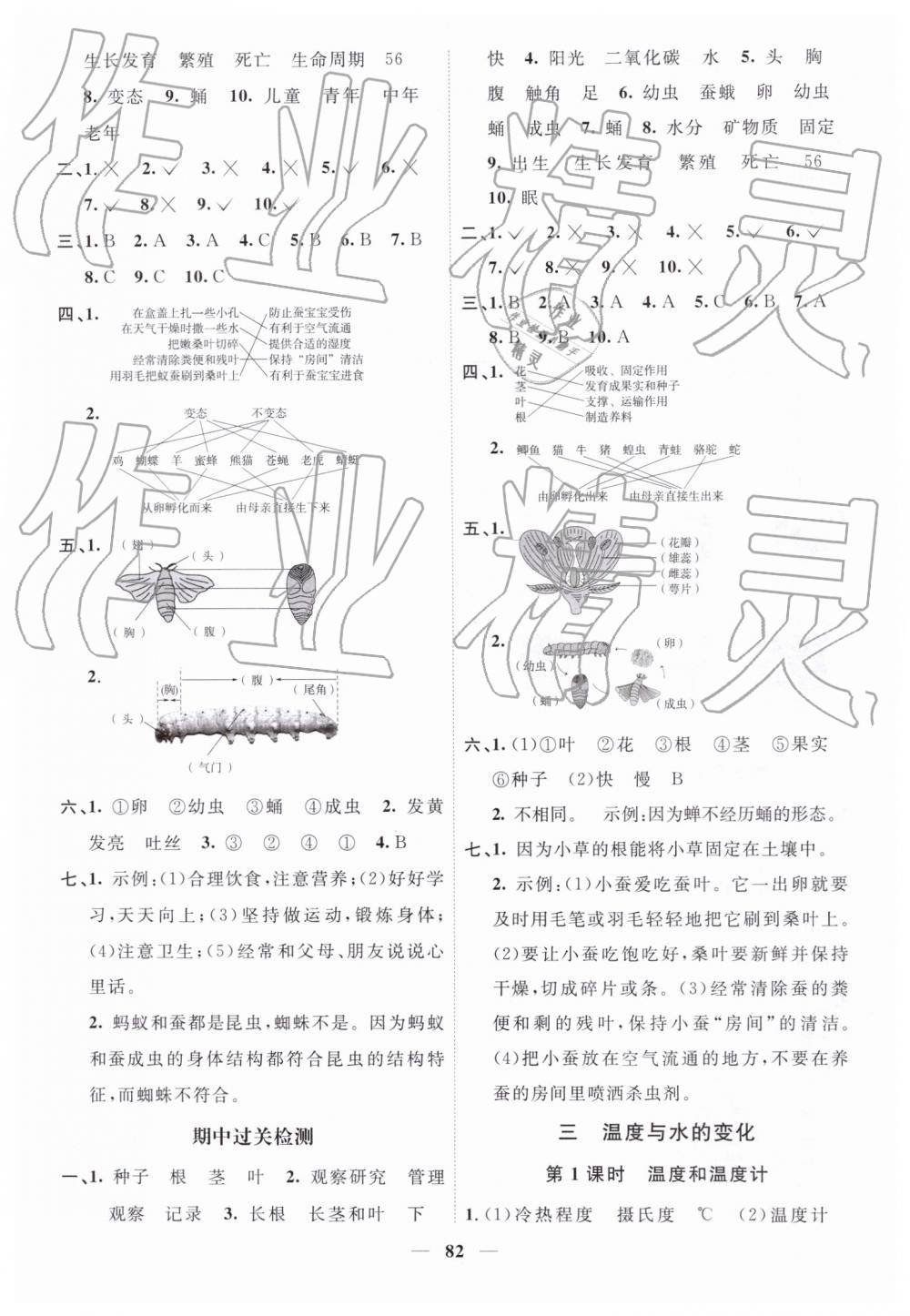 2019年阳光同学课时优化作业三年级科学下册教科版 第4页