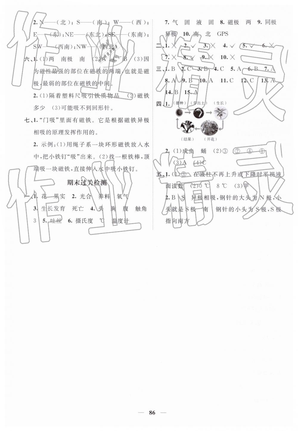 2019年陽光同學(xué)課時(shí)優(yōu)化作業(yè)三年級(jí)科學(xué)下冊(cè)教科版 第8頁