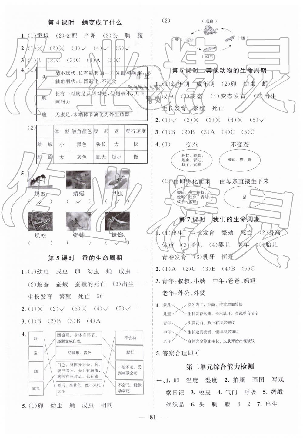 2019年阳光同学课时优化作业三年级科学下册教科版 第3页