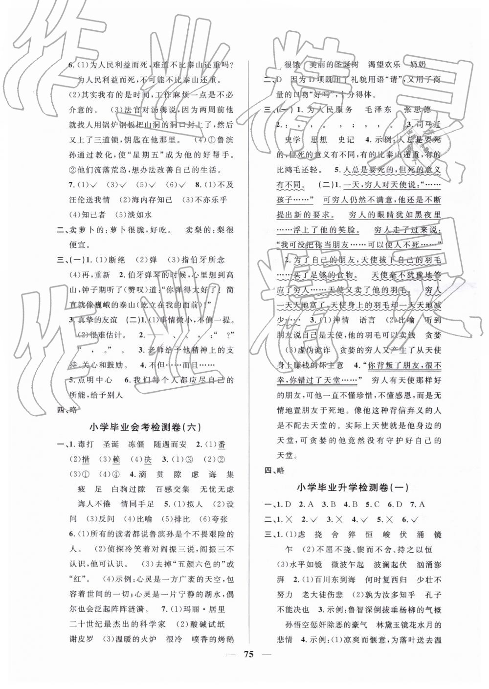 2019年小學(xué)畢業(yè)升學(xué)復(fù)習(xí)18套試卷語(yǔ)文 第3頁(yè)