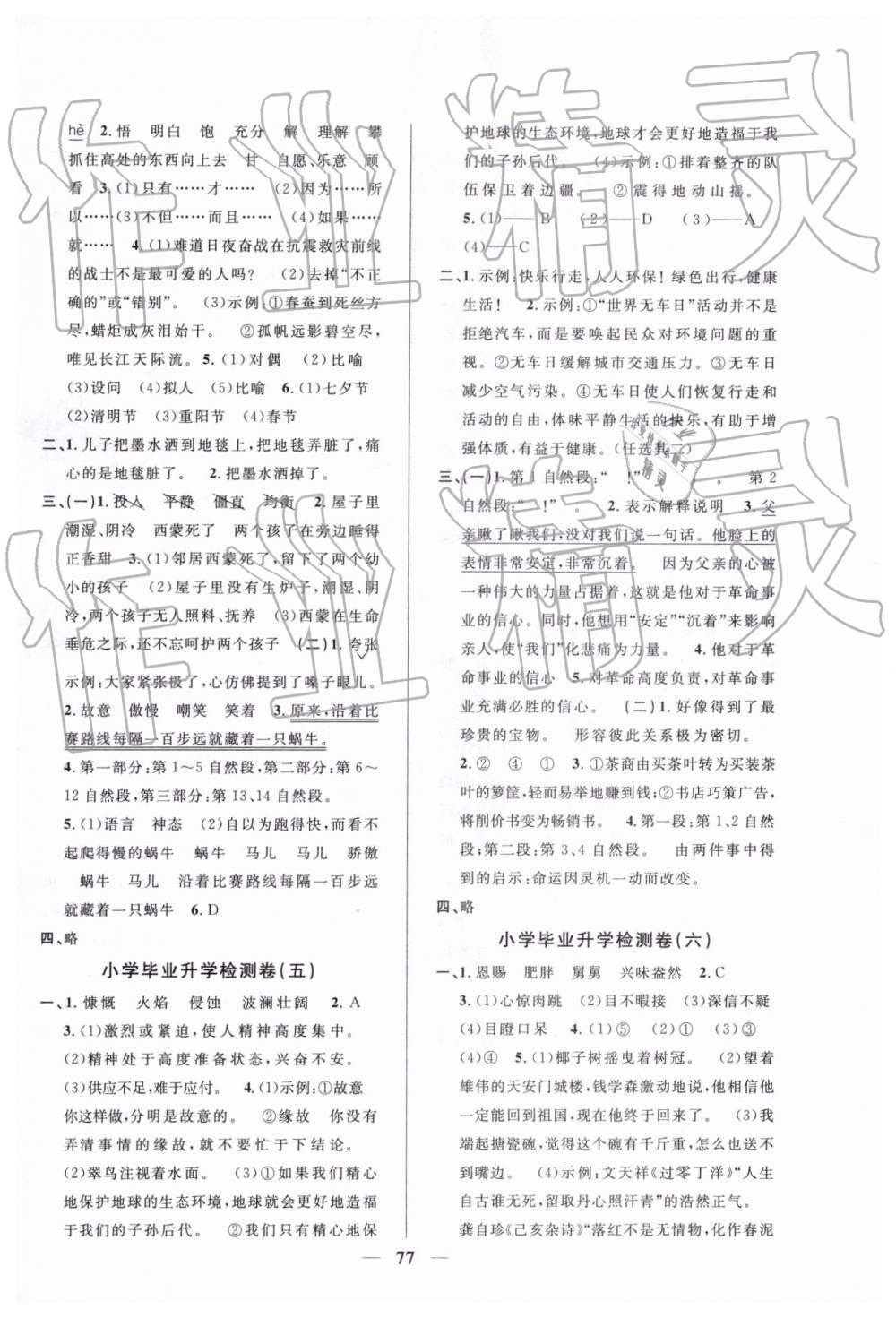 2019年小學(xué)畢業(yè)升學(xué)復(fù)習(xí)18套試卷語文 第5頁