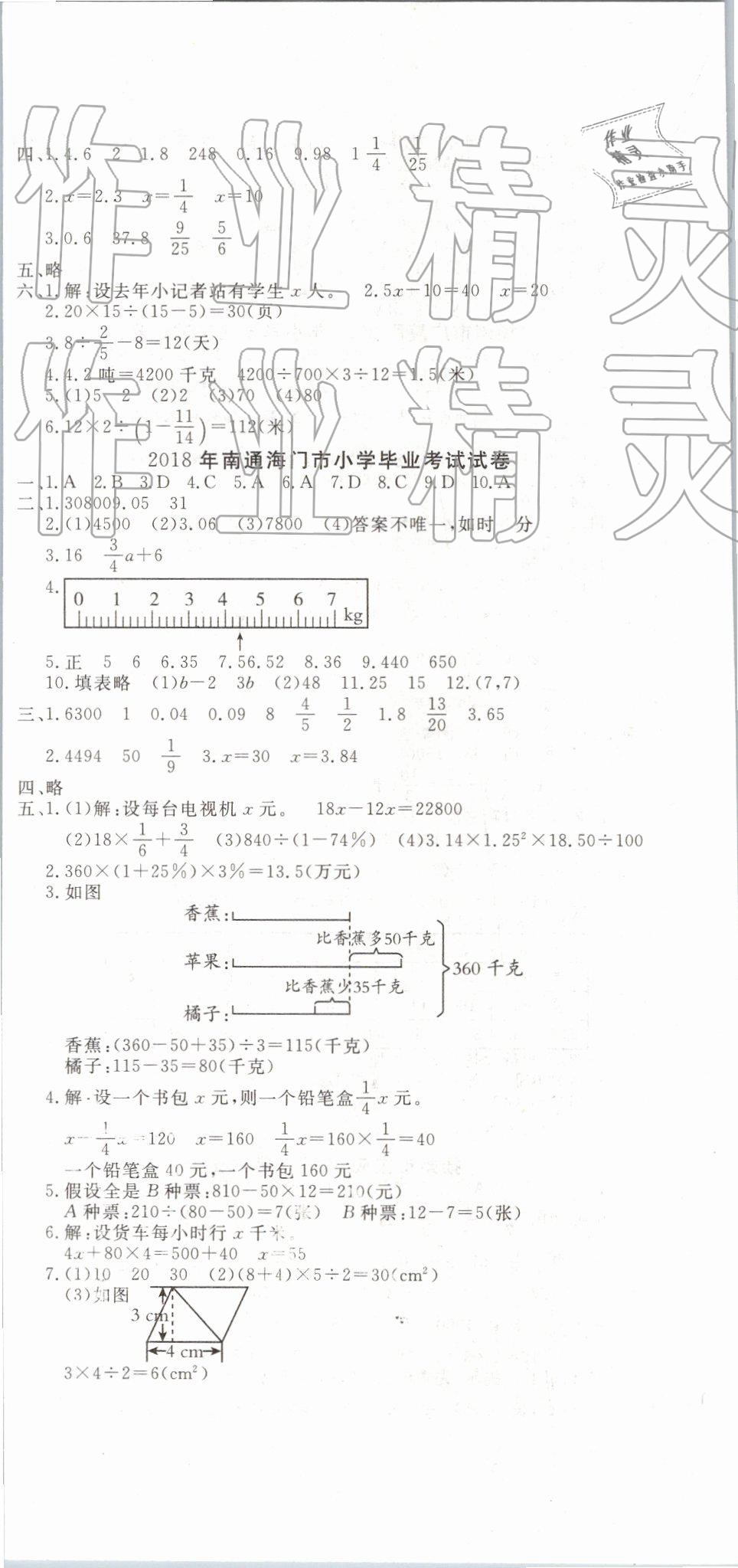 2019年名校直通卷數(shù)學(xué)江蘇專版 第12頁(yè)