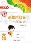 2019年強(qiáng)化拓展卷小學(xué)數(shù)學(xué)六年級下冊蘇教版提優(yōu)版