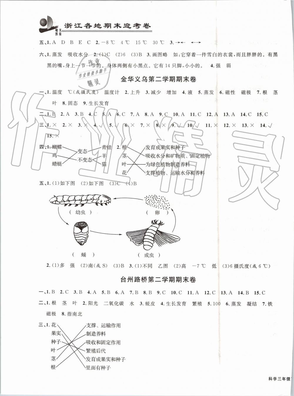 2019年浙江各地期末迎考卷三年級科學(xué)下冊教科版 第7頁