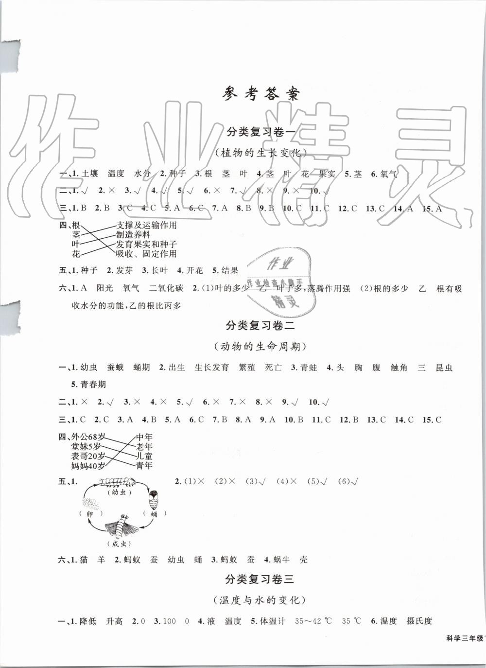 2019年浙江各地期末迎考卷三年級(jí)科學(xué)下冊(cè)教科版 第1頁(yè)