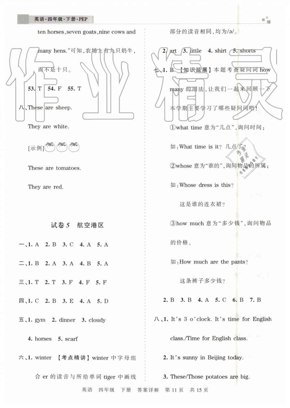 2019年王朝霞期末真题精编四年级英语下册人教PEP版郑州都市版 第11页