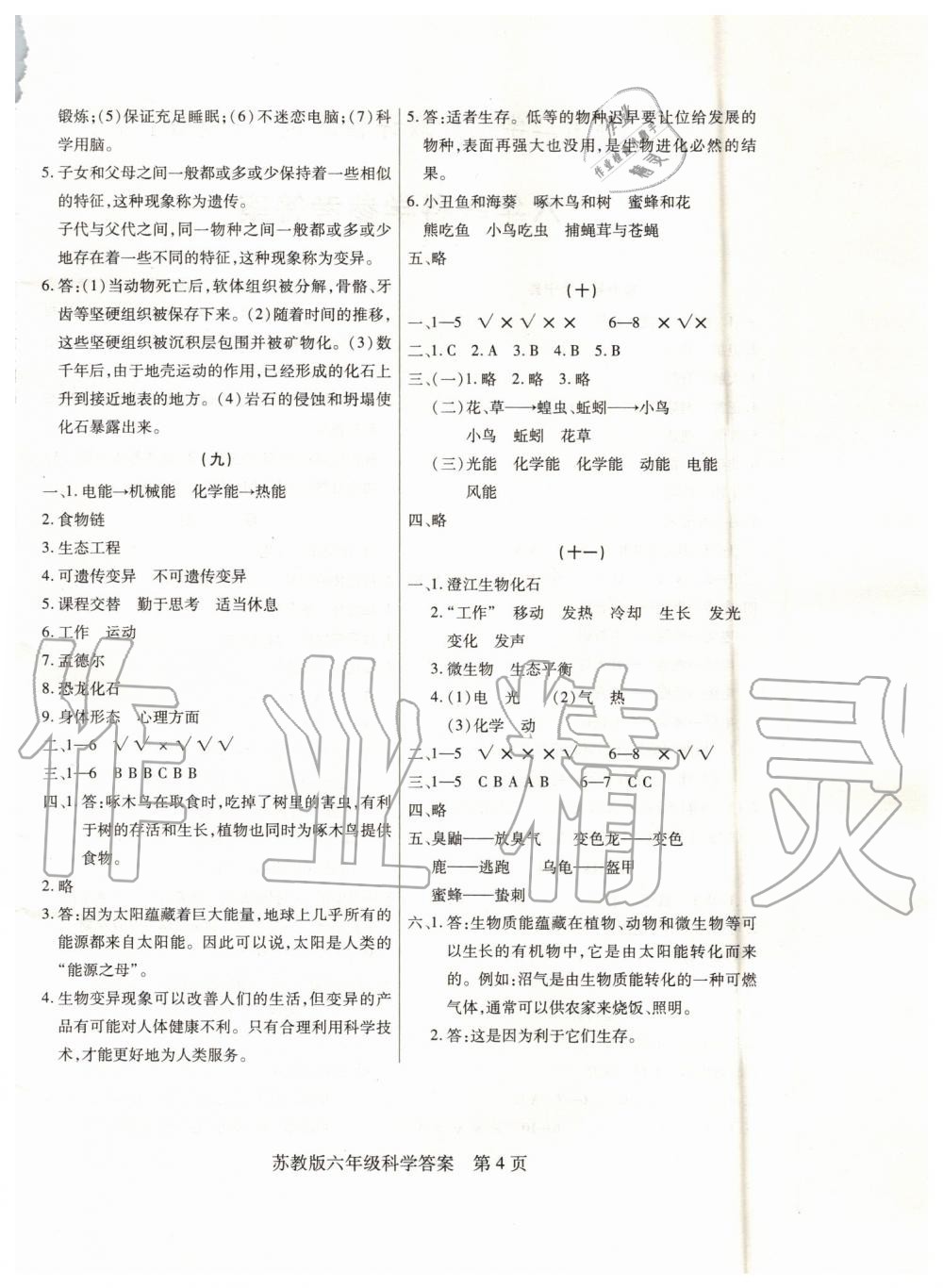 2019年正宗十三縣六年級(jí)科學(xué)下冊(cè)蘇教版 第4頁