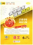 2019年王朝霞各地期末試卷精選六年級語文下冊人教版河南專版