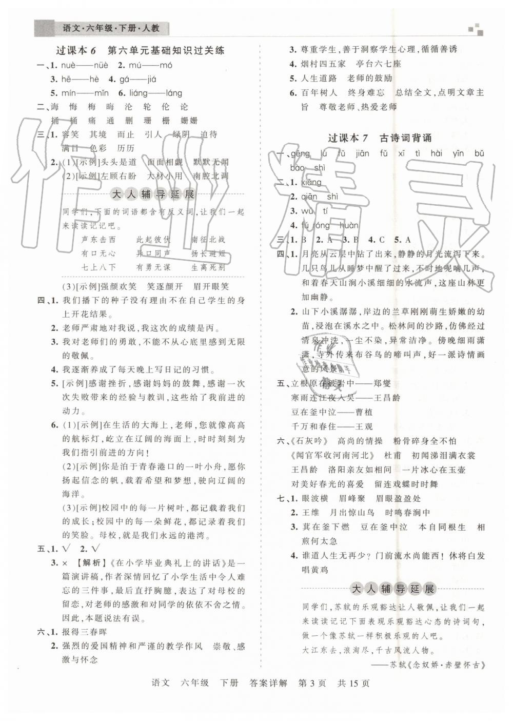 2019年王朝霞期末真题精编六年级语文下册人教版郑州都市版 第3页