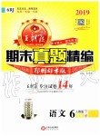 2019年王朝霞期末真題精編六年級(jí)語文下冊(cè)人教版鄭州都市版