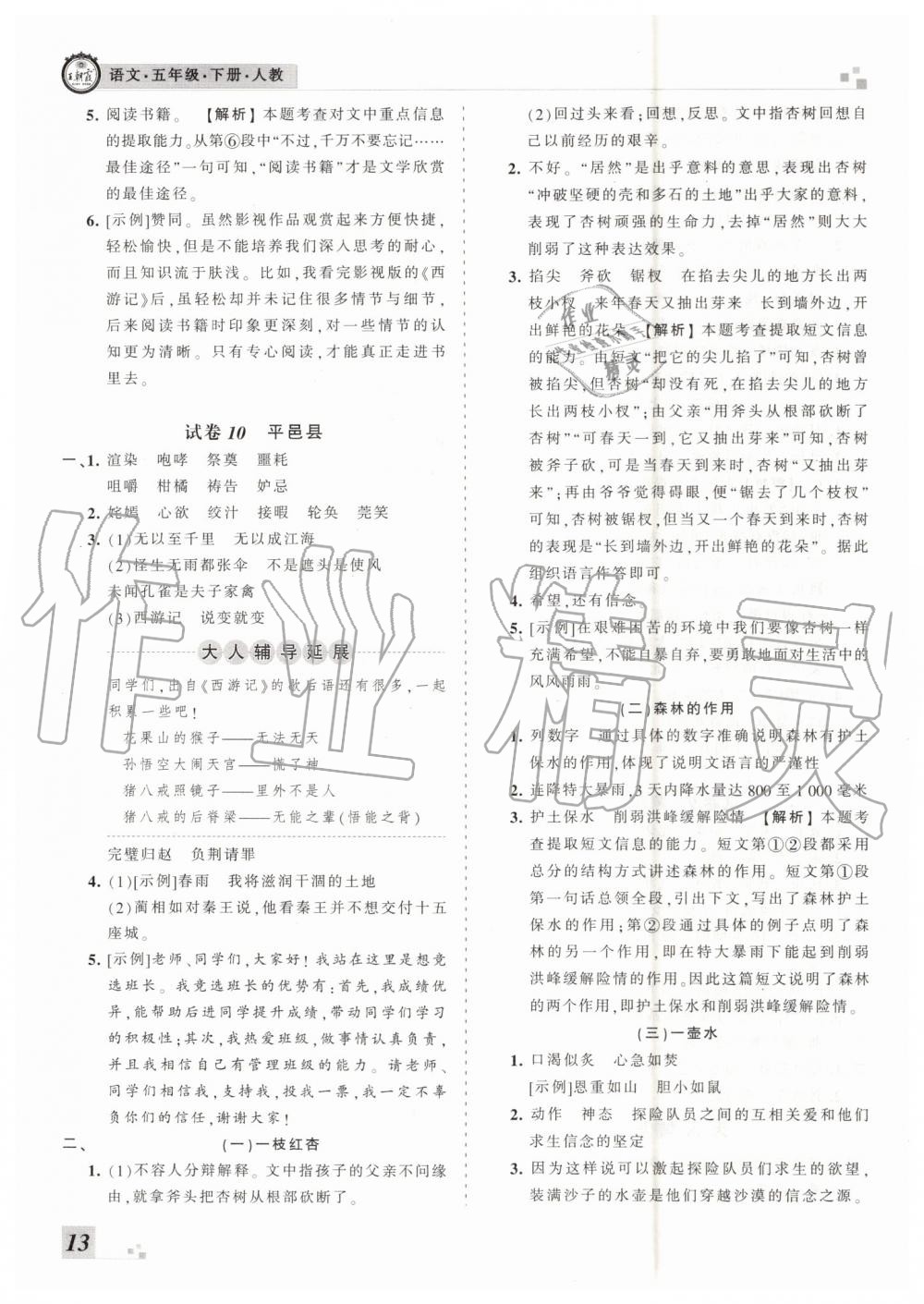 2019年王朝霞各地期末試卷精選五年級語文下冊人教版臨沂專版 第13頁