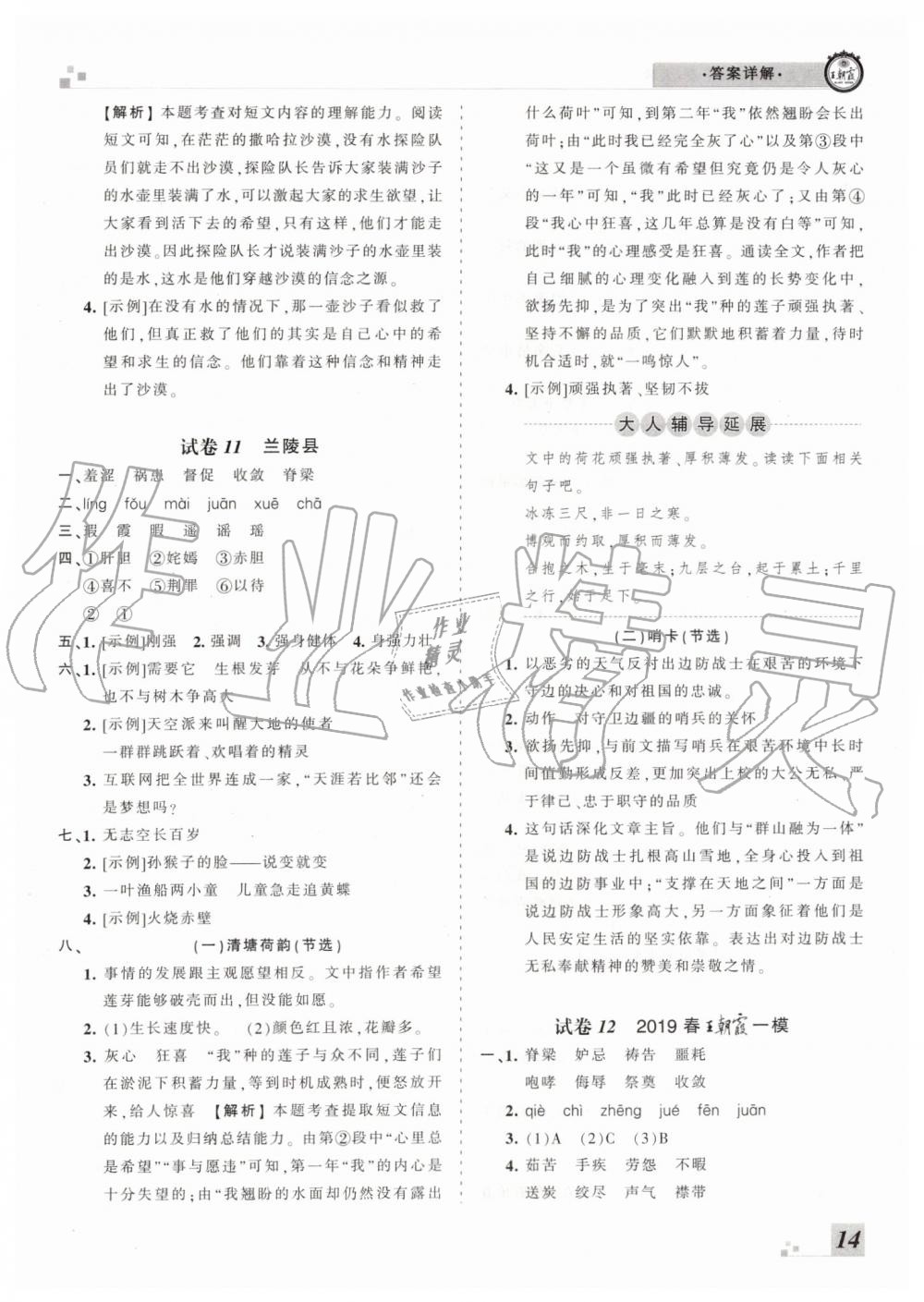 2019年王朝霞各地期末試卷精選五年級語文下冊人教版臨沂專版 第14頁